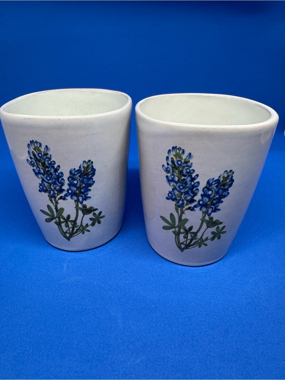 Frankoma White Ceramic Cups with Bluebonnet Floral Design (Pair)